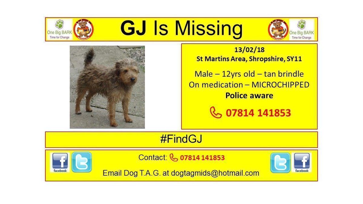 DogTAGMids's tweet photo. #FindGJ - Missing/Stolen from St Martins Area, Shropshire, SY11 Have you seen a dog that looks like GJ? MICROCHIPPED #scanme 📞 07814 141853 https://t.co/QqRjBUL7yh