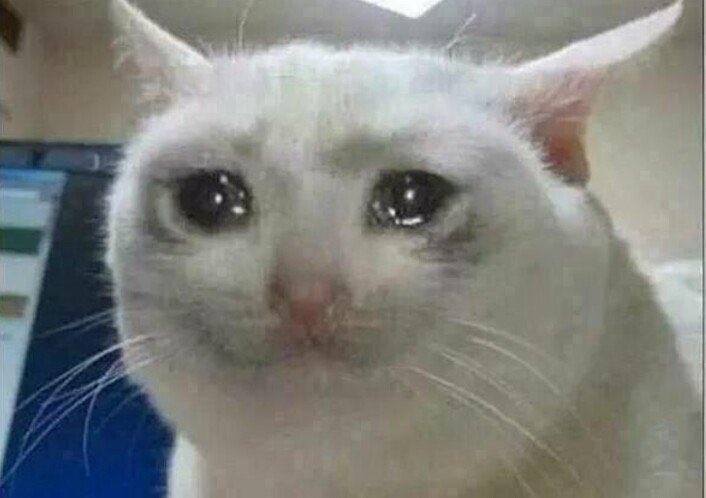 Ingenium_shr's tweet image. Me da vergüenza pedir o empezar rol con Tenya JSJDJJDS 
Valgo verga (? ||