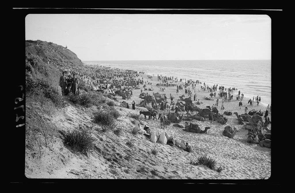 Animals suffering from a skin disease (as Job did) would be bathed in the sea here (according to Canaan)photos from Matson Collection, 1943 http://www.loc.gov/pictures/search/?q=mejdal