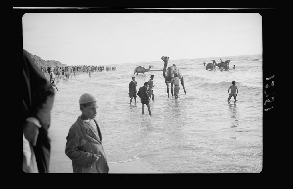 Animals suffering from a skin disease (as Job did) would be bathed in the sea here (according to Canaan)photos from Matson Collection, 1943 http://www.loc.gov/pictures/search/?q=mejdal