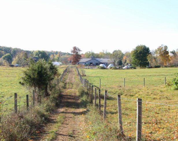 Take a moment out of your busy schedule to destress at the farm.