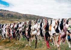 Bras for days. We fully support our friends who are fighting cancer. Hopefully one day soon we'll be able to appreciate our boobs rather than curse them. Our 86CNCR shirt is helping the Cancer Research Institute make a difference. #breastcancer #fightcancer #86cncr