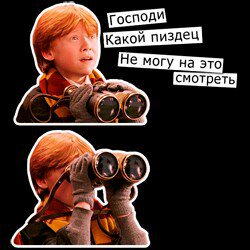 DZ9a2QxWkAMz5zi?format=jpg&name=360x360
