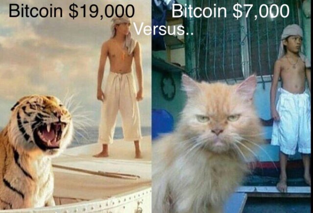 #CanYouCrypto #cryptomemes #bitcoin #lifeofpi #blockchain #technology #cryptocurrency