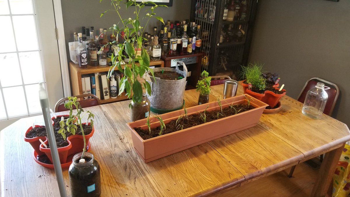 Then Owen Garden in full bloom.