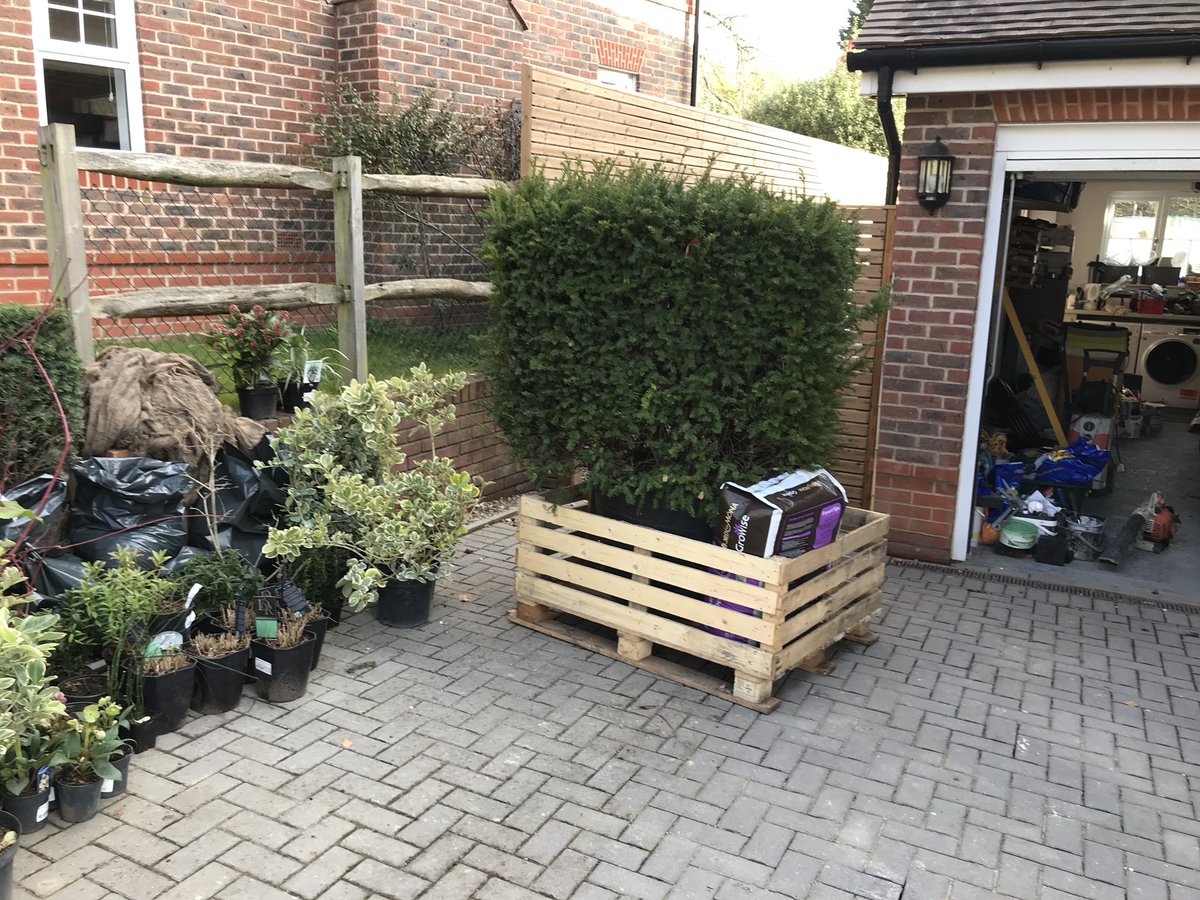 Planting my favourite ‘Equisetum Japonicum’ today, love this aquatic  horsetail. Big taxus cubes are in along with irrigation and lighting, might have time to finish before the baby comes tmoz! 😁 #SneakyPeeky <a href="/happilyHeather/">heather martin</a> <a href="/ProvenderTweets/">Provender Nurseries</a>  @MarshallsReg <a href="/ProLandscaperJW/">ProLandscaperJW</a>
