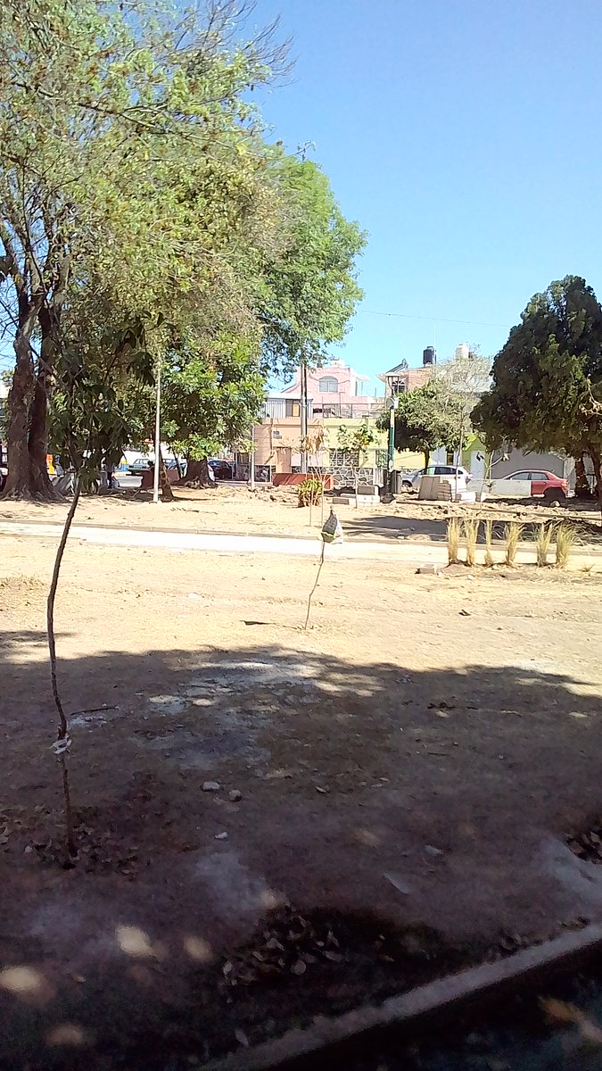AlfBarbauribe's tweet photo. 7 personas trabajando hoy en el parque José Clemente Orozco que @EnriqueAlfaroR prometió teminar el mes pasado en #StaTere #GDL. Este es el único parque en 80 manzanas a la redonda. Si nosotros no exigimos nadie lo hará #YaBasta https://t.co/UfpOfOldOj