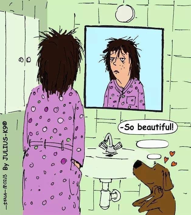 NoExcuses5K's tweet photo. Even when you're at your worst, your pup sees you the best 💞 https://t.co/fhtV3i3HD7