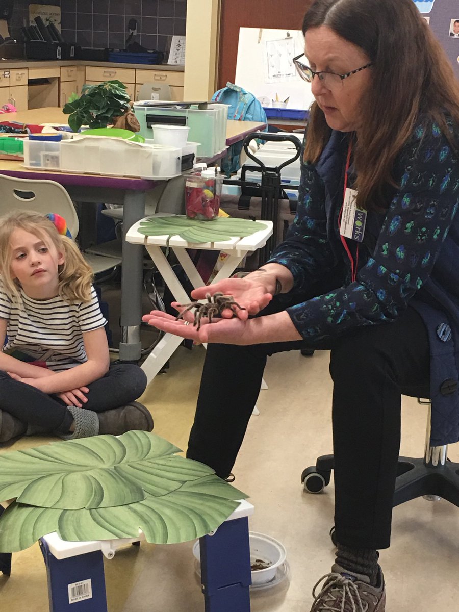 MarvelousMoring's tweet image. Rosie the tarantula has made her annual appearance in kindergarten.   Thank you Mrs. Diamond!!!  🕷 @LSSNorthboro @MarvelousMoring #Bugworks. #LSS PTO enrichment programs