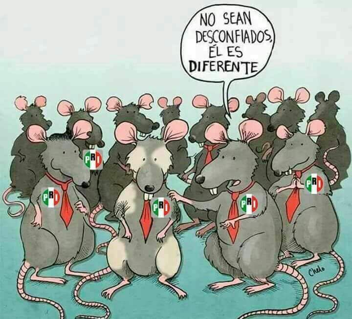 El es diferente <a href="/JoseAMeadeK/">José Antonio Meade🇲🇽</a>  #YoMero  por qué tienen miedo de votar 😂😂😂😂😂