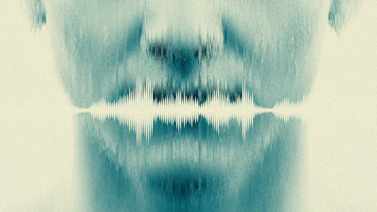 Sabine VanderLinden tweet media