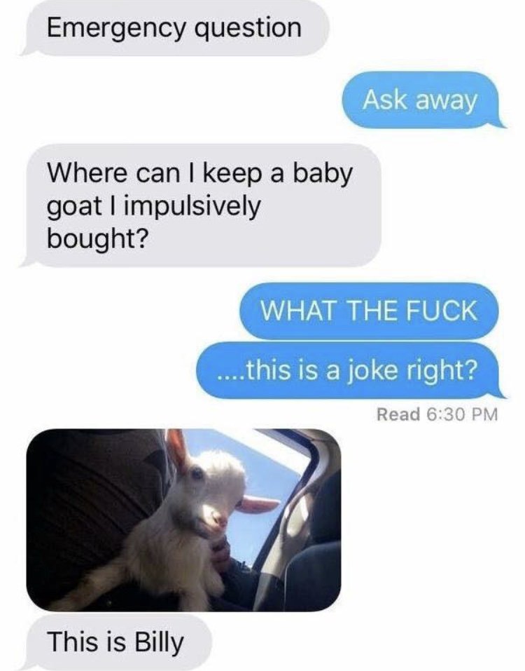 Aer0oo's tweet photo. Emergency question... 😂😂😂 https://t.co/hHBSO8E72T