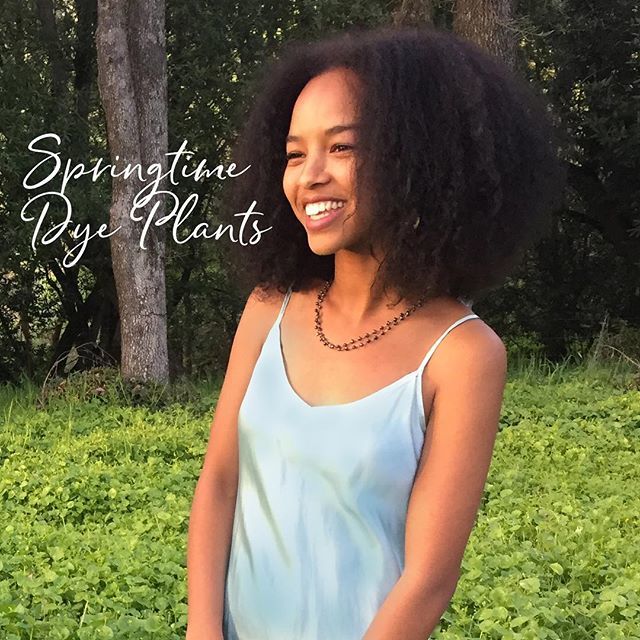 localdialect's tweet photo. On the blog: how these beautiful slip dresses get their color! (Link in profile) hint: it's natural, nontoxic and sustainable! #naturaldye #ecofashion #slowfashion https://t.co/PXOlKC33BV https://t.co/GWc2XVI2LL