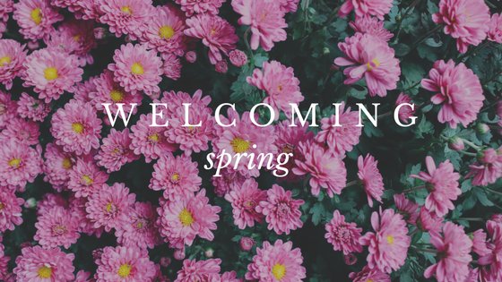 #Spring is finally here, is your #MarketingStrategy ready to change with the season? Check out our latest blog on how your brand can take advantage of #seasonalmarketing: ow.ly/jruU30j84Zo