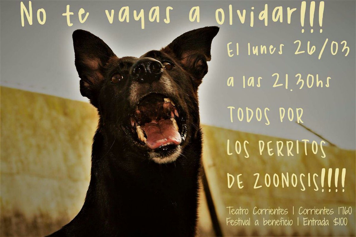 Lunes 26 de Marzo,  a beneficio de #Zoonosis en @mardelplatamdp todos por los perritos!!! 
En el Teatro Corrientes (corrientes y Rivadavia,  Mar del Plata) con la presencia de <a href="/luisaalbinoni/">Luisa Albinoni</a> y más figuras !
<a href="/CeciliaLignazi/">Cecilia Lignazzi</a> <a href="/AlzuaPro/">Alzua Producciones</a> <a href="/MagnificaMDQ/">Magnifica</a>