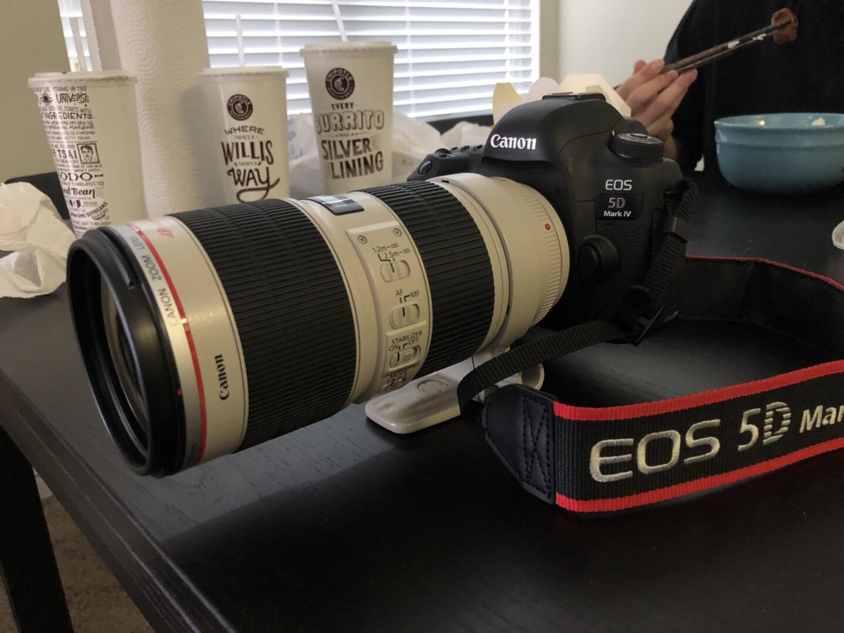 A hundred percent original. From Canon EOS 5D Mark IV.