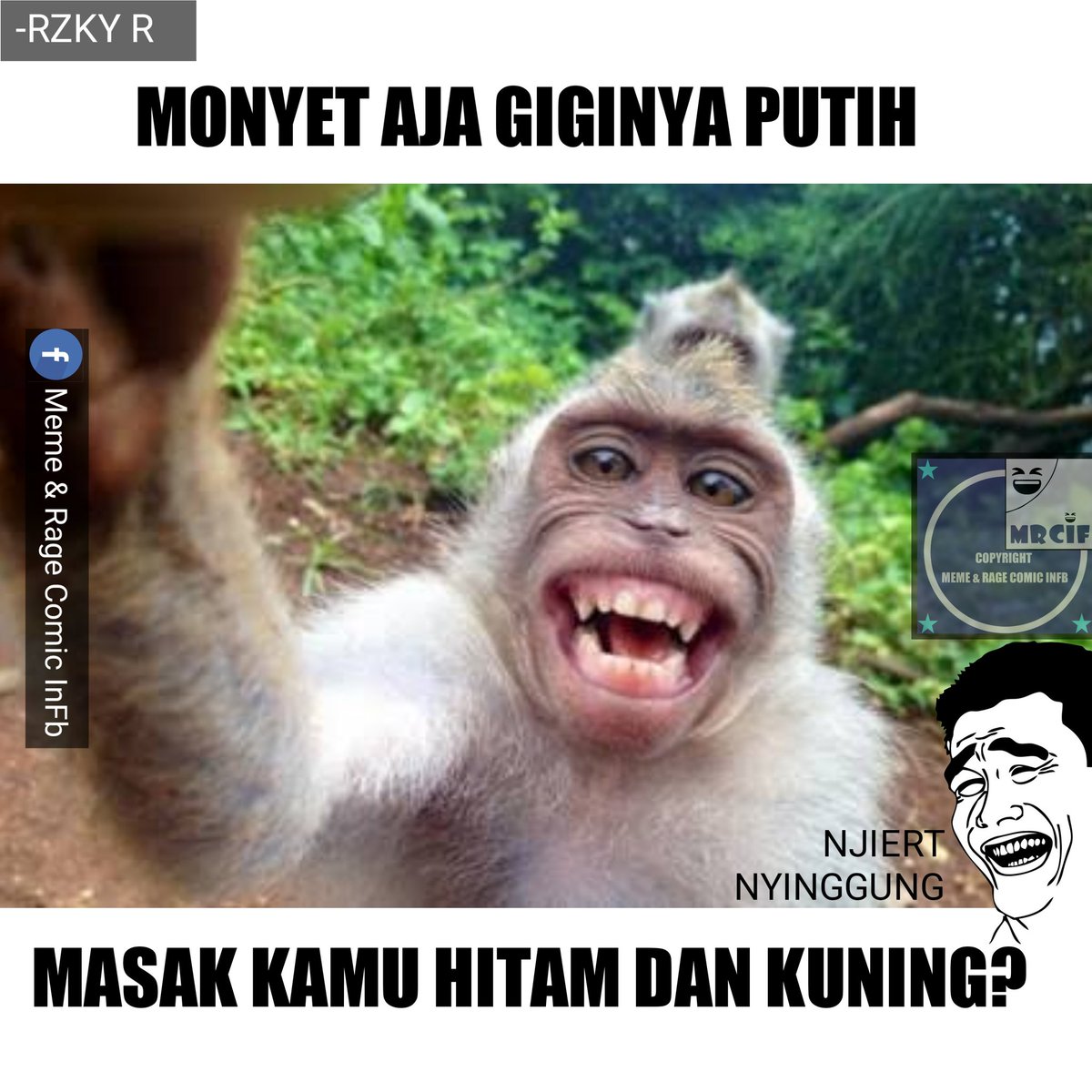 Kumpulan 60 Meme Monyet Terkeren Gambar Keren
