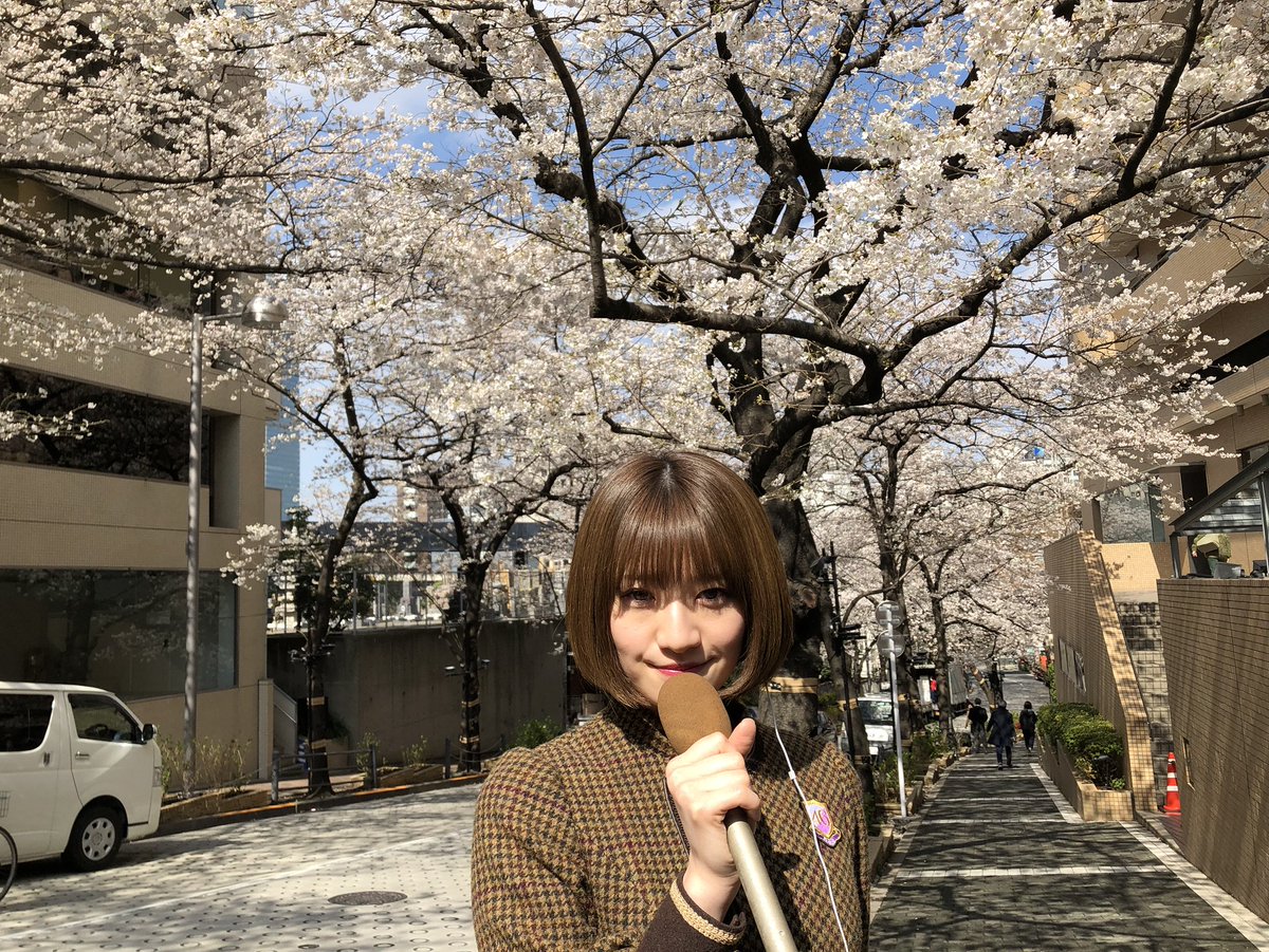 乃木坂46 Auf Twitter 赤坂アークヒルズから中田花奈が桜中継 結構咲いてました 天気もよいのでお散歩してみてくださいね T Co X72b7agxsv 乃木坂46 乃木坂46時間tv 桜中継 中田花奈