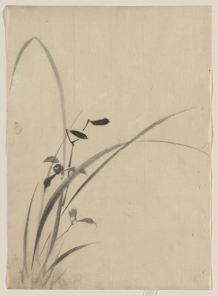 Katsushika Hokusai, Grasses, between 1830 and 1849