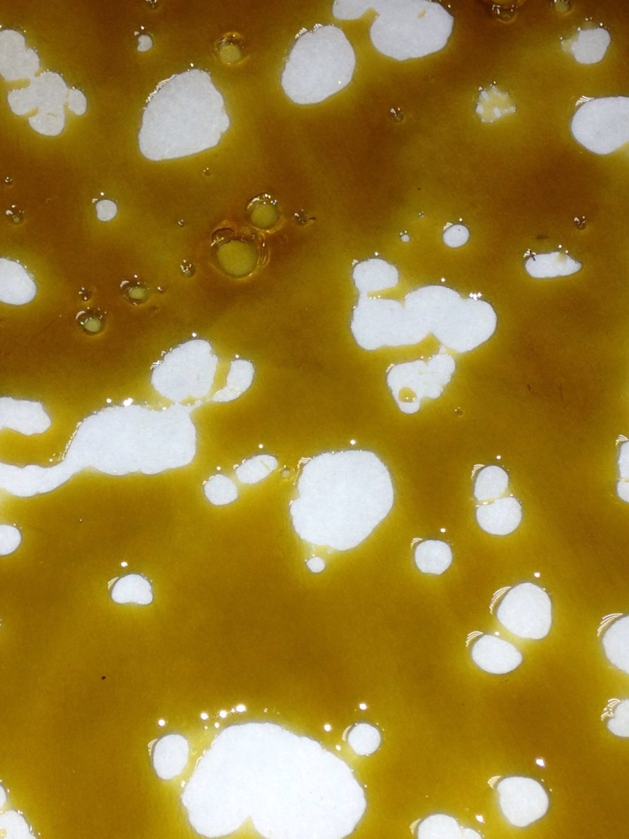 SkunkbeardGenet's tweet photo. Some chemtrain Fire! #skunkbeardgenetics https://t.co/kMeiXoqVVg