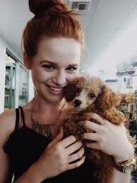 FrozenHeartisms's tweet image. ─ #NationalPuppyDay 

        "Everyone meet my baby."