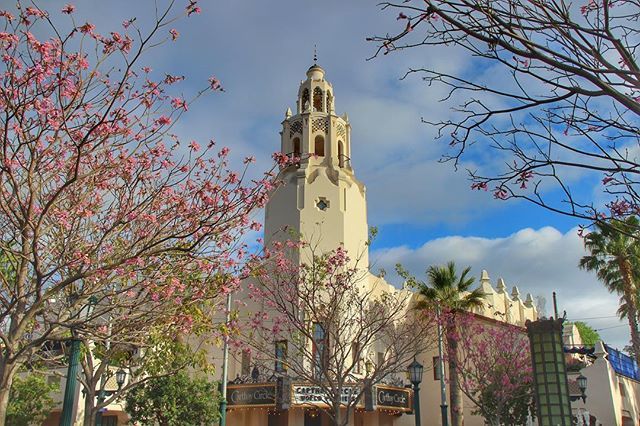 mrdaps's tweet photo. Hope everyone is having a fantastic Friday! Who’s going to the parks this weekend?@disneylandtoday .
.
.
.
.
.
 #Disney #Disneyland #DisneyParks #WaltDisney #Disneygram #DisneySide #HappiestPlaceOnEarth #InstaDisney #InstaGood #disneyphotography #DisneyV… https://t.co/ZTd6qTAE5u https://t.co/YOMAN6kqJN