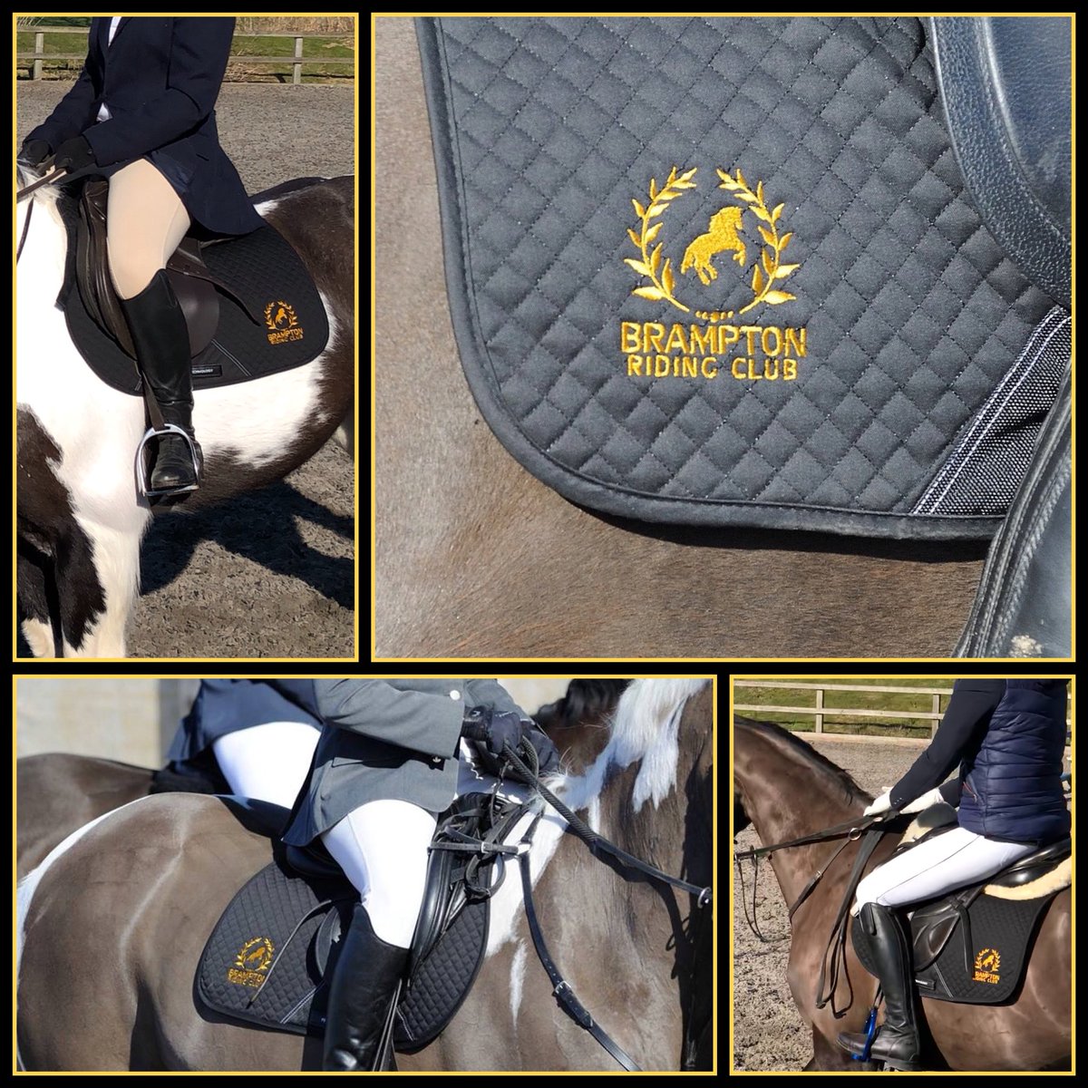 Brampton Riding Club tweet media