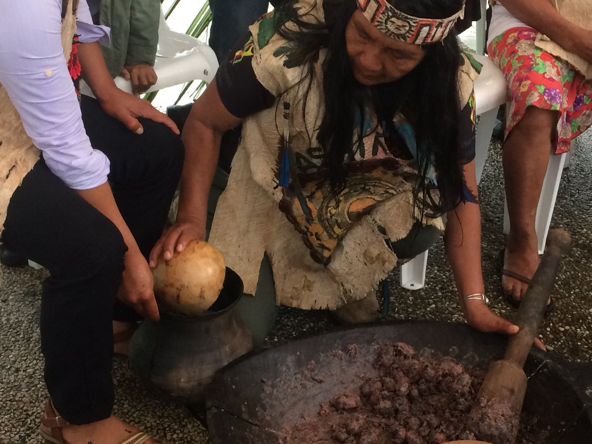 SEIBEec's tweet photo. Enseñanza y elaboración de chicha | FESTIVAL DE LA LENGUA SAPARA - #WITSAJA” | #IdiomasAncestralesEc #SaberesAncestralesEc https://t.co/967qctb6gP