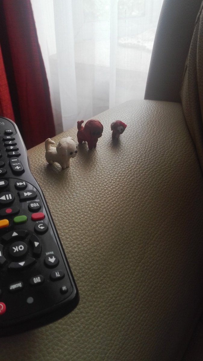 FotosyRulos's tweet photo. Tarde de peli y #Arte con mi pequeΓ±ita adorada πππ
#MicroDog #DogLover https://t.co/JymNsZGoTX