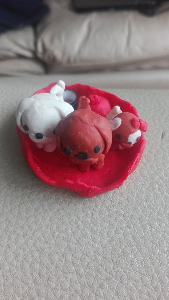 FotosyRulos's tweet photo. Tarde de peli y #Arte con mi pequeΓ±ita adorada πππ
#MicroDog #DogLover https://t.co/JymNsZGoTX