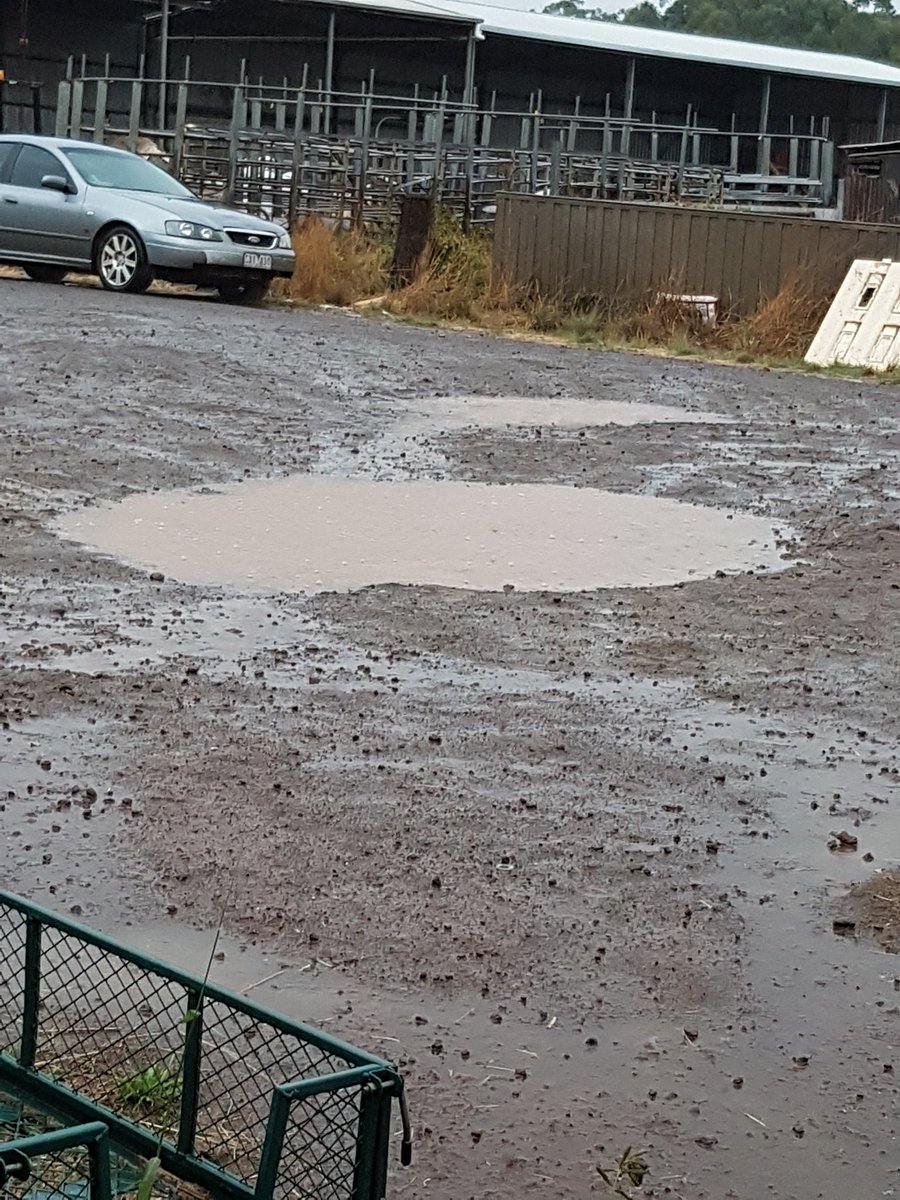 Donna_Edge_'s tweet photo. The puddle gauge is looking promising
#ausdairy #swfire #rain https://t.co/EYbxFNfDcW