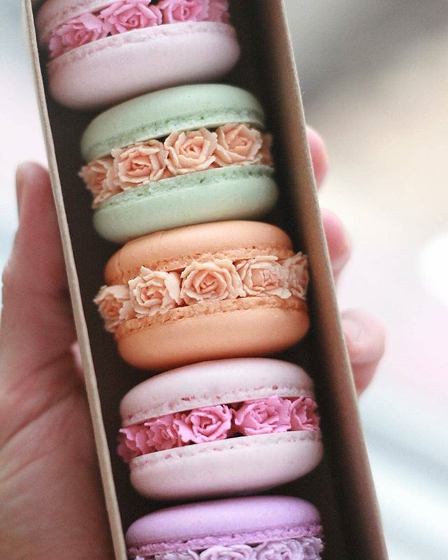cupcakeproject's tweet photo. Which color would you grab first?
Repost from @ayseyamanbutikpasta - Macaron blossoms 💜💕🍃🍃🍃 #macaronblossoms #macarons #macaron #macaronrose #flowermacarons #makaron #güllümakaron #baking #bakery #dessert #macaronlove #macaronlady #bakeyourworl… https://t.co/dCcw1H7yOz https://t.co/ujkx1ch82D