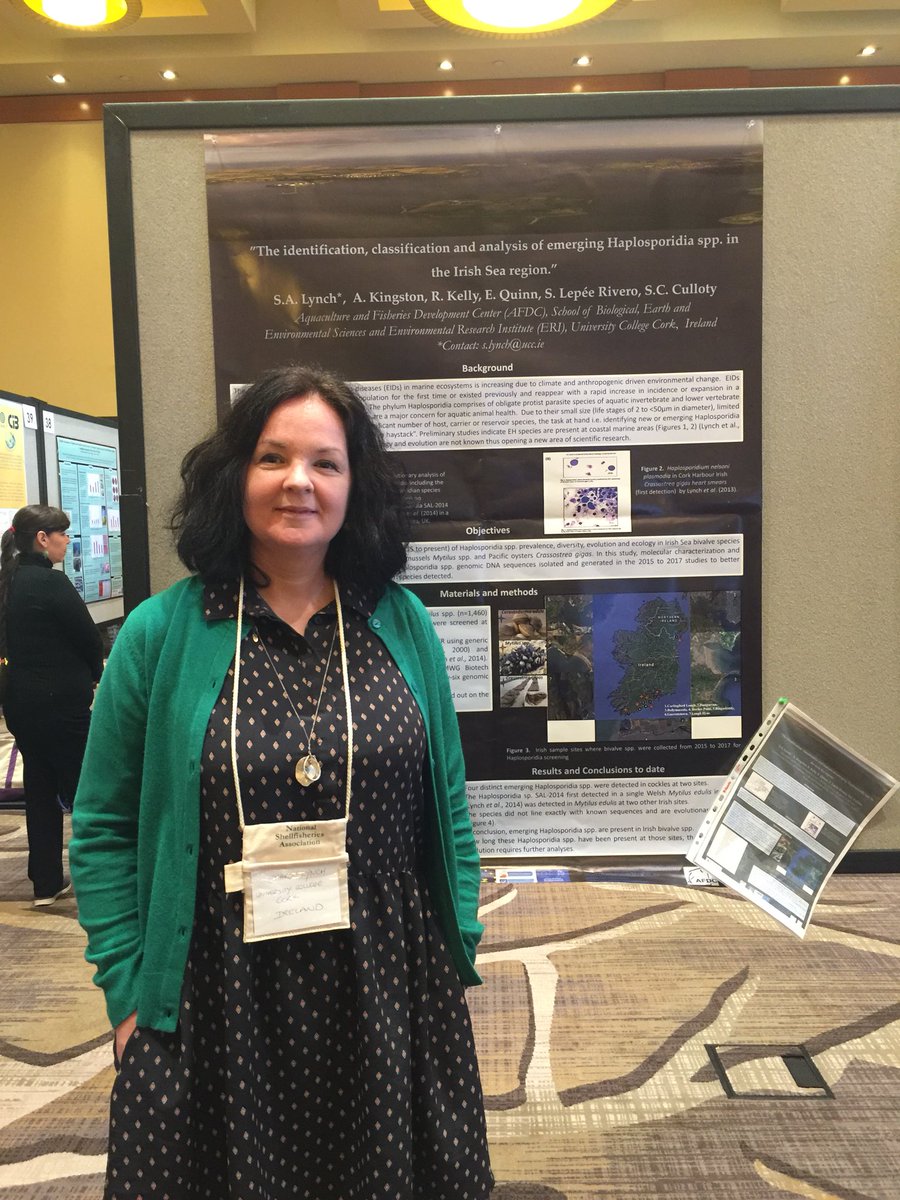 CullotyS's tweet photo. Its been a great conference at #Shellfish2018 and Sharon Lynch has presented our @BlueFish_EU research in the oral and poster sessions. What impact will climate change have on fisheries and aquaculture in the Irish sea? we are looking at shellfish health impacts https://t.co/lt0tMBkqBD