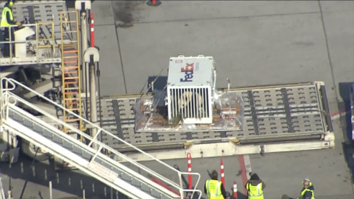 MGBlastroid's tweet photo. The pandas are coming, the pandas are coming! Panda 1 has landed in #yyc See it peeking out of the cage? Awesome video from @GlobalCalgary Chopper. #pandamonium https://t.co/6ko8pOFHdL