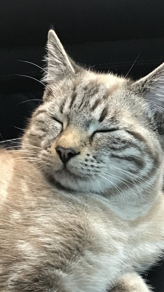 Erkinguney's tweet image. 