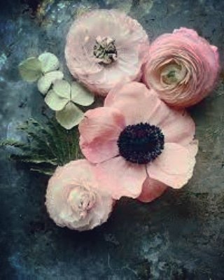 RossellaRo_'s tweet image. Ogni #destino è legato alla mano che ne tiene la corda...

Un saluto a te #Destinity (giovane e combattiva mamma nigeriana)
Rossella Rò
© 23.3.2018  22:02

#LaFabbricaDeiPerché
#TuComeMe
#NonInsistoEsisto
#AscoltiamoISilenzi
#NoDifferent
instagram.com/p/Bgrke-hAscb/