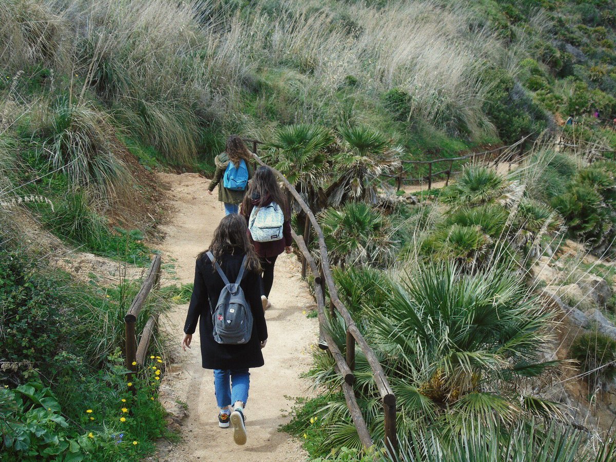 zingaroscrystal's tweet photo. Camminando per i sentieri della riserva abbiamo potuto ammirare sia la flora particolareggiata della zona sia il modo in cui i fondi stanziati dall’UE sono stati utilizzati per migliorare la struttura 🌾 

#asoc1718 #ascuoladiopencoesione #opencoesione #riservadellozingaro https://t.co/toeRUu24hg