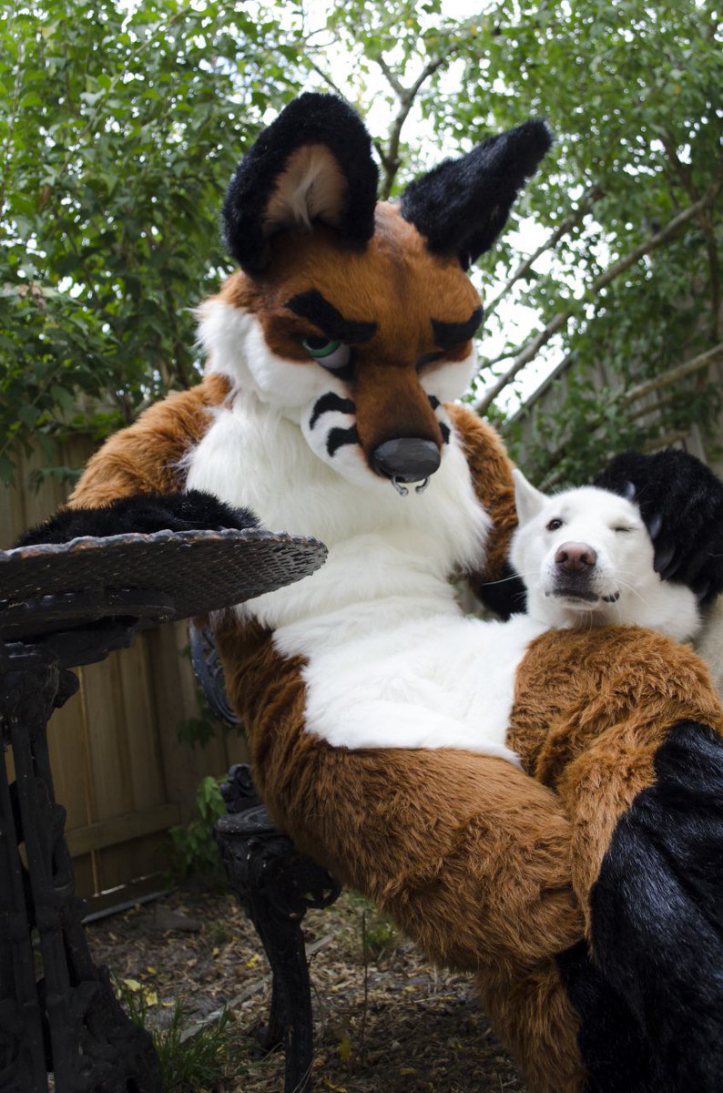 Kendothefox's tweet photo. It's a fine Saturday morning, just waiting on my coffee! Happy puppy day #foxthings #onefuall #NationalPuppyDay #fursuit #fursuiteveryday
📸@deusexmoose
🔨@onefurallstudio https://t.co/zG42OYJS0M