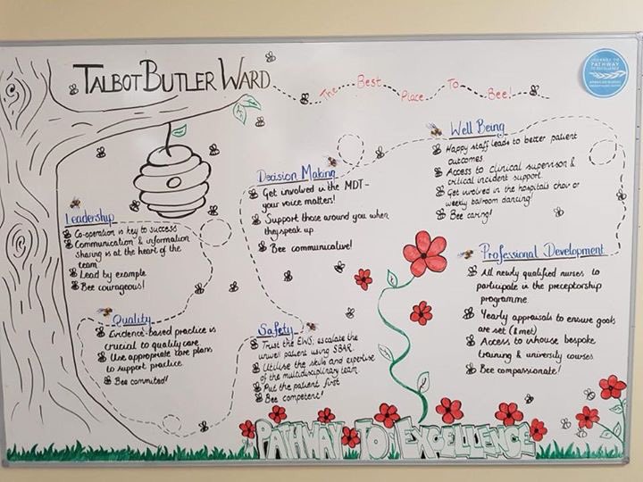 PathwayTara's tweet photo. 👀Fabulous to see this board transform & appear today from Talbot Butler Ward #PathwaytoExcellence®️ #sixstandards amazing work guys 👌🏼 https://t.co/ULpX5Y1Ym4