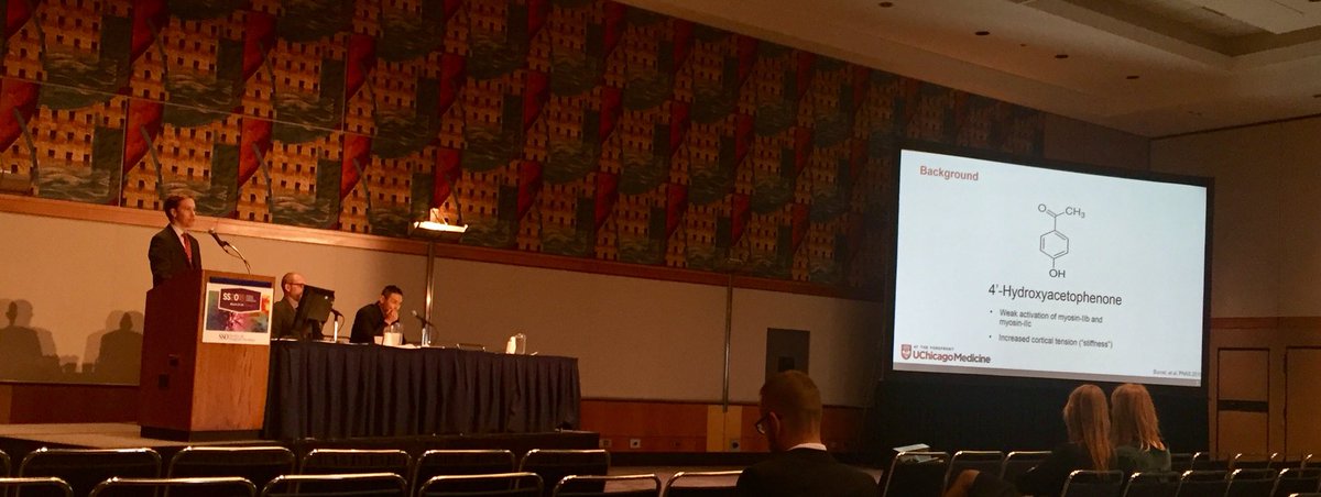 Jukes Namm (@drjukesnamm) on Twitter photo Darren Bryan <a href="/uchicagosurgery/">UChicago Surgery</a> Increasing cytoskeleton rigidity with 4-HAP decreases colon cancer metastasis and progression in murine model. Possible target for novel therapeutics. #SSO2018 #metastasis #surgeonscientist Darren Bryan <a href="/uchicagosurgery/">UChicago Surgery</a> Increasing cytoskeleton rigidity with 4-HAP decreases colon cancer metastasis and progression in murine model. Possible target for novel therapeutics. #SSO2018 #metastasis #surgeonscientist