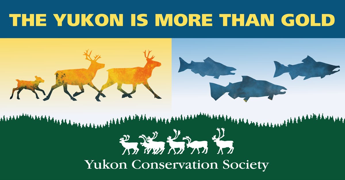 YCSYukon's tweet photo. Speak up for the #Carcross Caribou Herd! Ask the environmental assessors (YESAB) to recommend against the Judas Creek Tributary Placer Project! Read our comments and a link to the project's #YESAB page here: https://t.co/TfJLPPHuwS #Yukon #MarshLake https://t.co/waLTaHgiNj