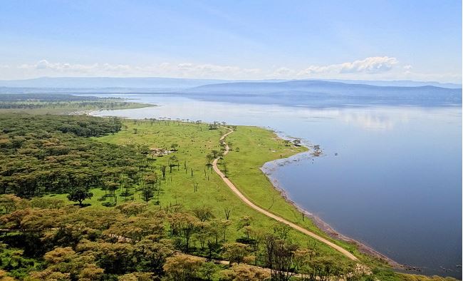 africaupdates's tweet photo. Pink Flamingoes @ Lake Nakuru, Kenya #BeautifulAfrica https://t.co/AuEibHyaoO