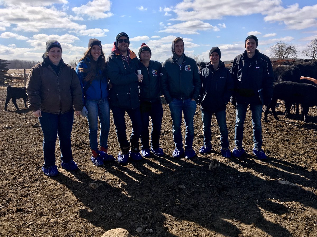 Emily Seed tweet media