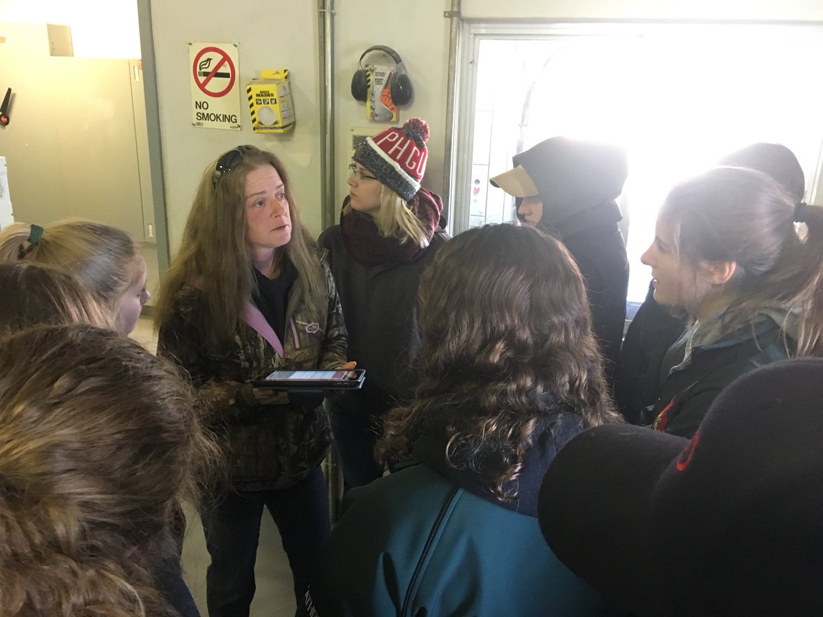 Emily Seed tweet media