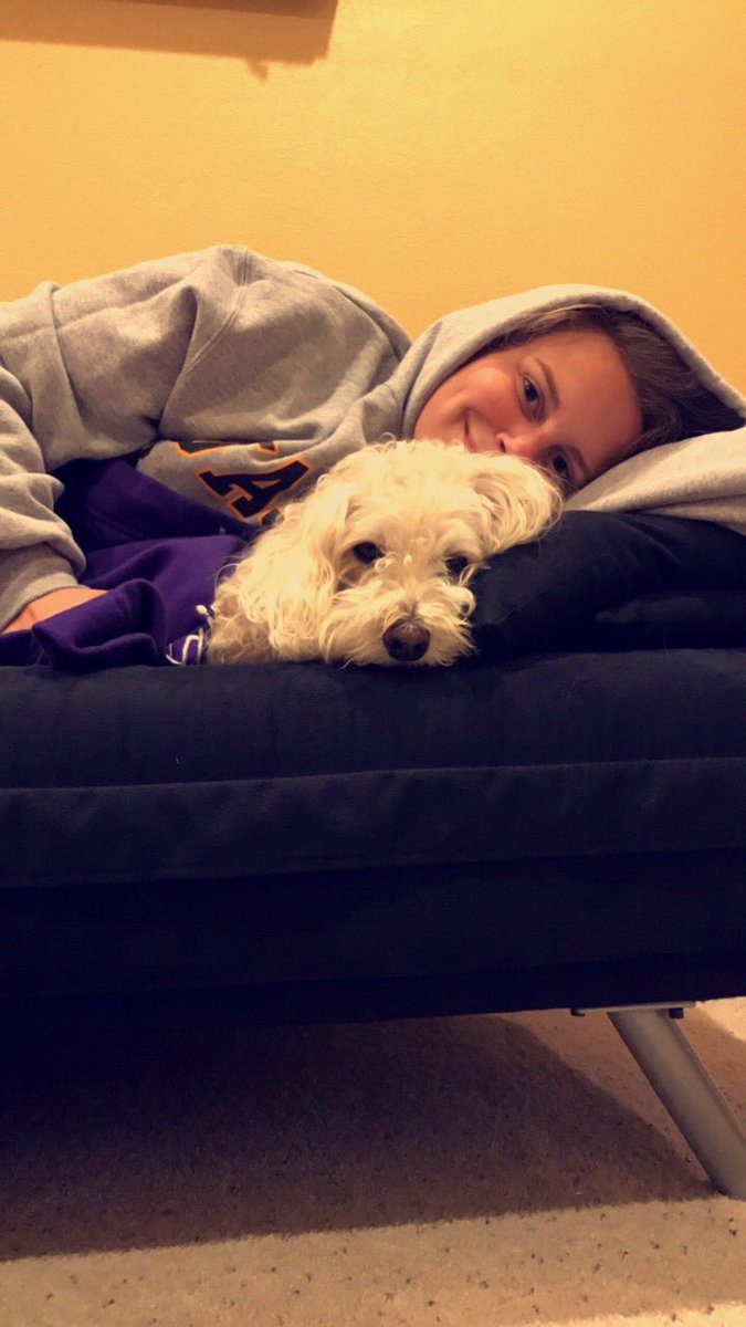 EmilyMathies's tweet photo. Happy puppies day to my fluff ball 🐶💙 https://t.co/UJng21Yd7L