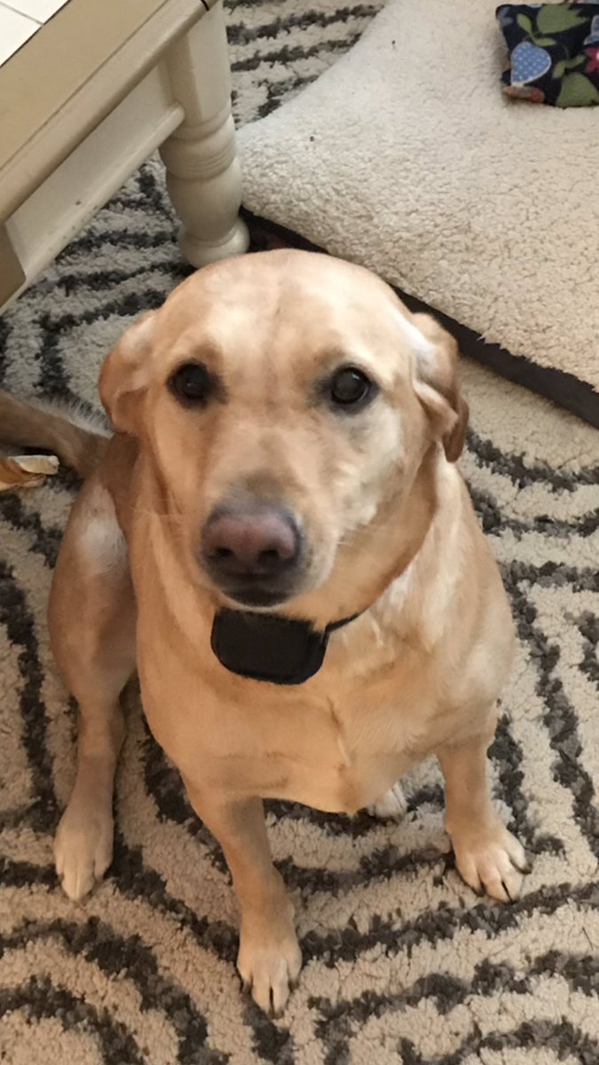 bob rathbone (@bobrathbone3) | Twitter