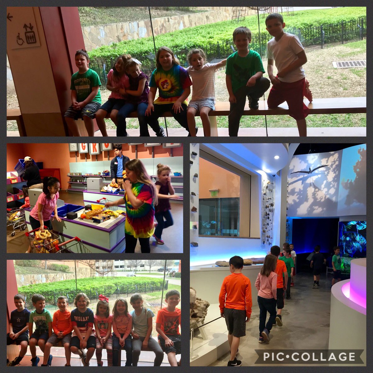 GingerBryan15's tweet photo. Loved our field trip to the museum and Omni today! @fwmsh #weloveaes @Matheny2nd #TheCoralReef #childrensmuseum #projectinggreatness @ActonElementary https://t.co/GuoOQd0ARK