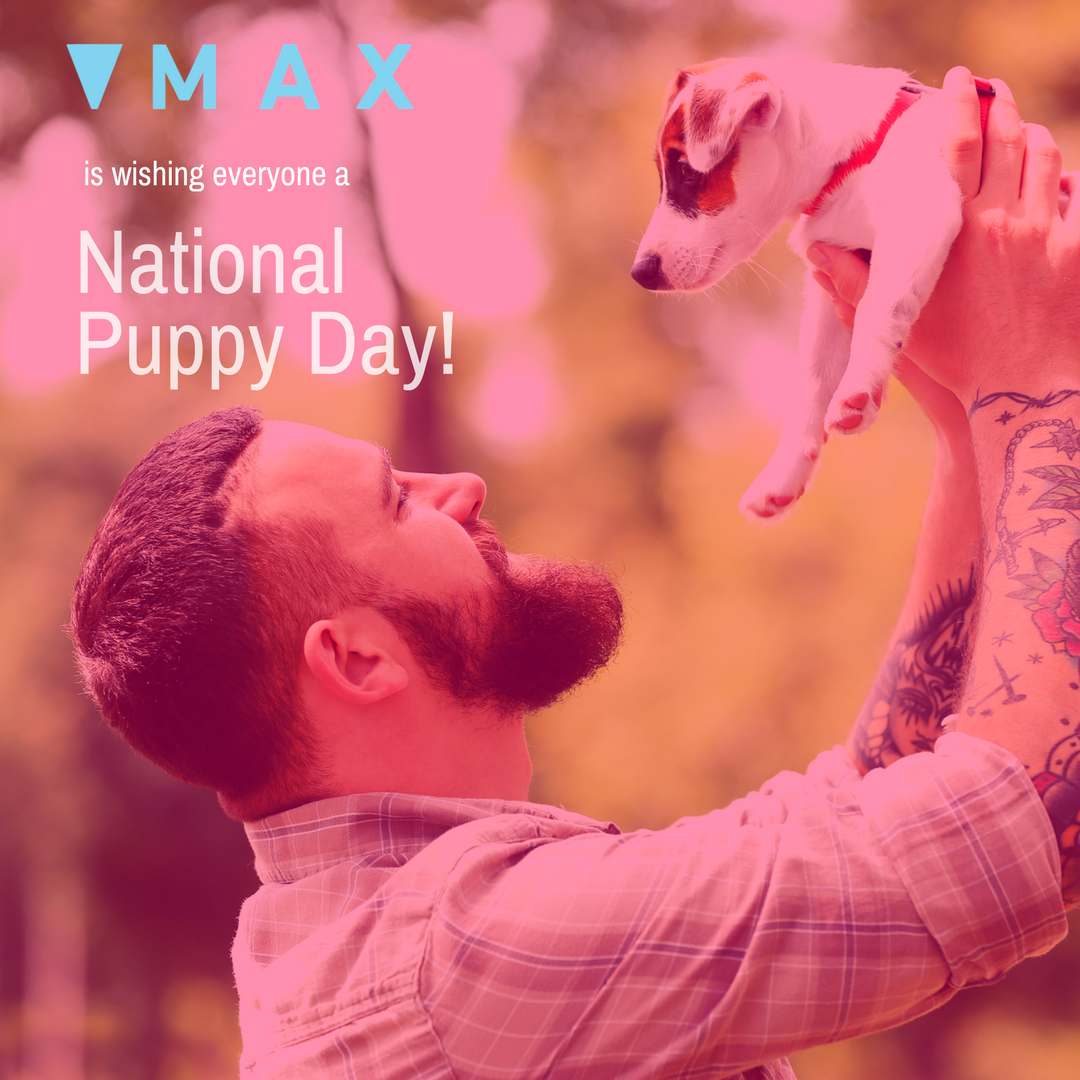 max_ottawa's tweet photo. Don't forget to cuddle with a cute pup today! #MAXOttawa #NationalPuppyDay #Guysintoguys #YOW #Hugapup https://t.co/S9cUdv7FOA