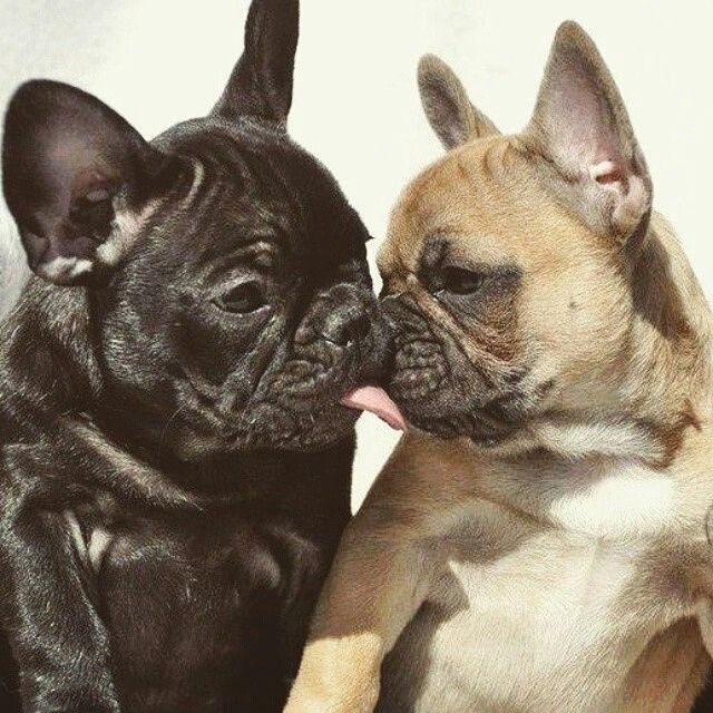 Can’t say enough about how proud I am of <a href="/EasyElliotG/">Elliot G</a> today!! Today was a huge step in our journey and ilusfm