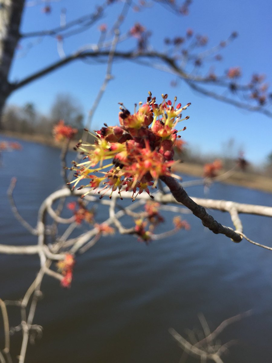 Spring is definitely here, and with it...allergies👎.  Call us to get relief 👍!  We offer in clinic allergy testing/treatment at affordable rates. Schedule your appointment today!